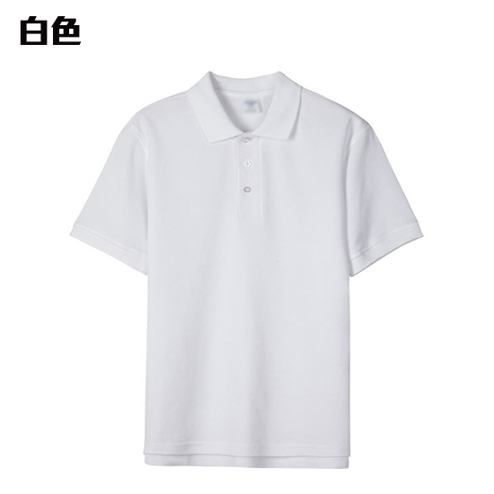 POLO-06 優質挺身全棉POLO - Image 4
