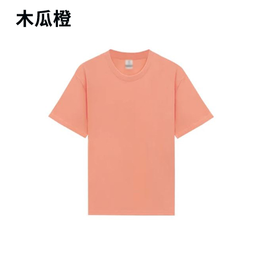 TEE-18B 220G高質雙紗全棉TEE