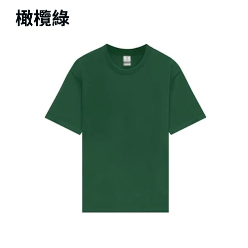TEE-18B 220G高質雙紗全棉TEE